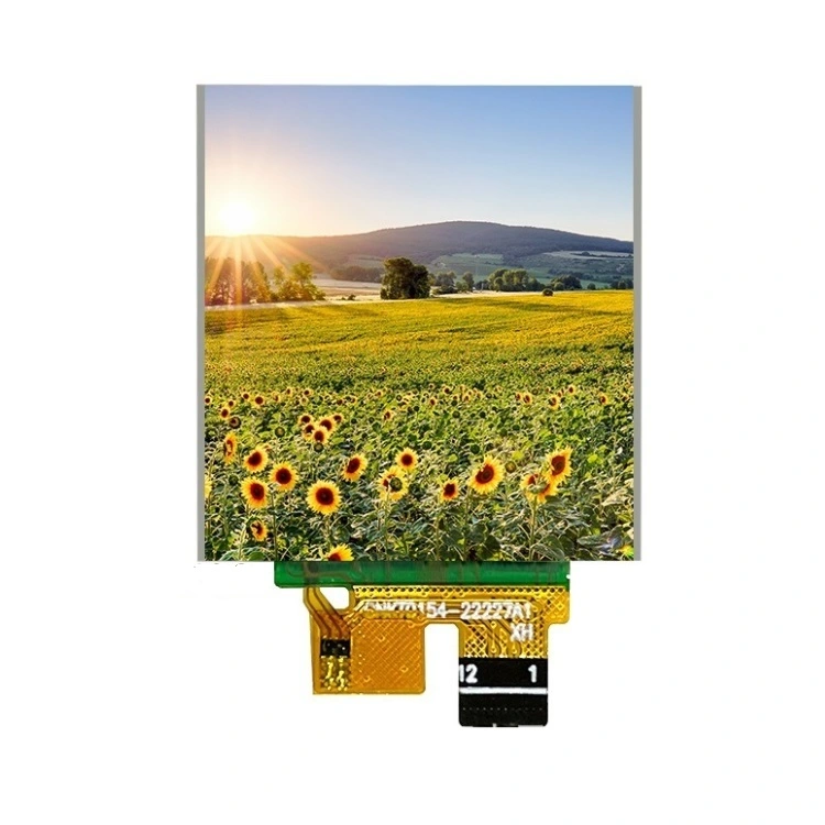 1.54 인치 TFT LCD 디스플레이